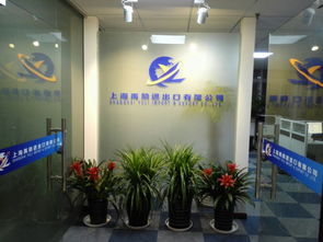 上海禹勵(lì)進(jìn)代理報(bào)關(guān)公司
